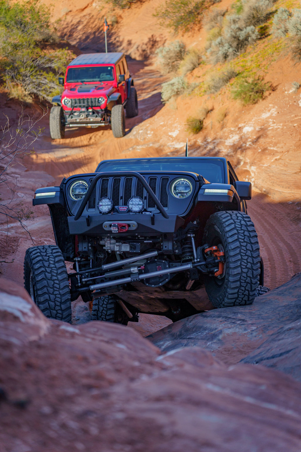 Artec Wrangler JK JL & Gladiator Sentinel Front Bumper with Hoop